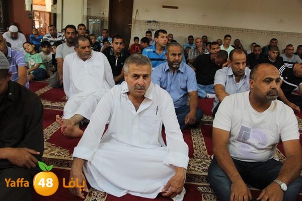 mayef abo ganem 0524 (35).JPG